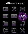 Walkman Flash