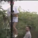 VideoImage